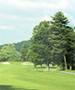 Asheville Area Golf Course - Highland Lake (9 Holes) by TeeBone Golf